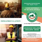 LES CONDITIONS D&rsquo;IMMATRICULATION